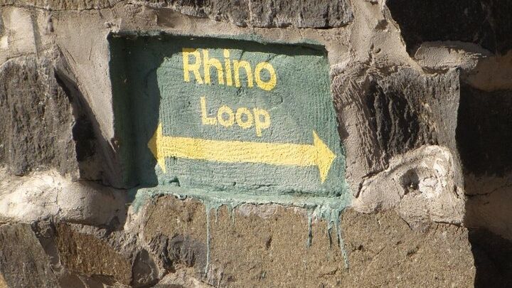 Rhino Walk