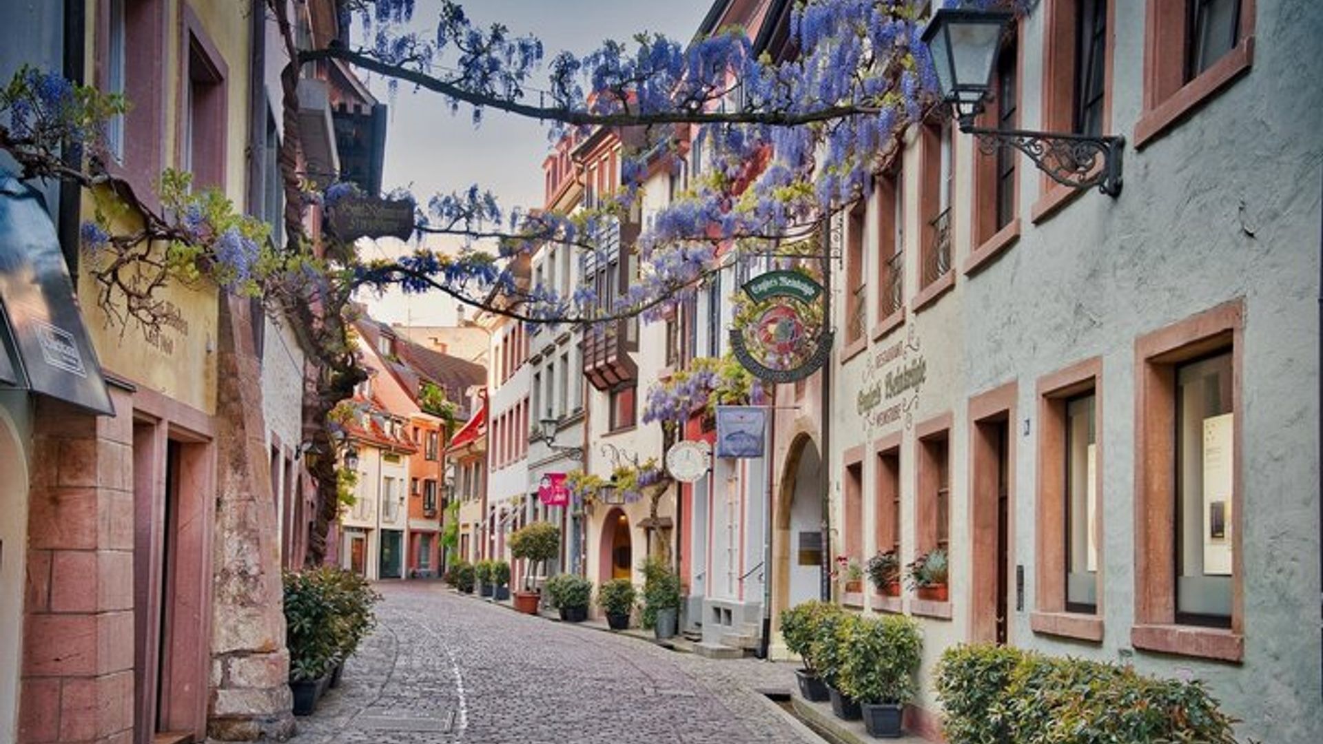 From Strasbourg: Visit to the Black Forest in Triberg, Titisee, Freiburg