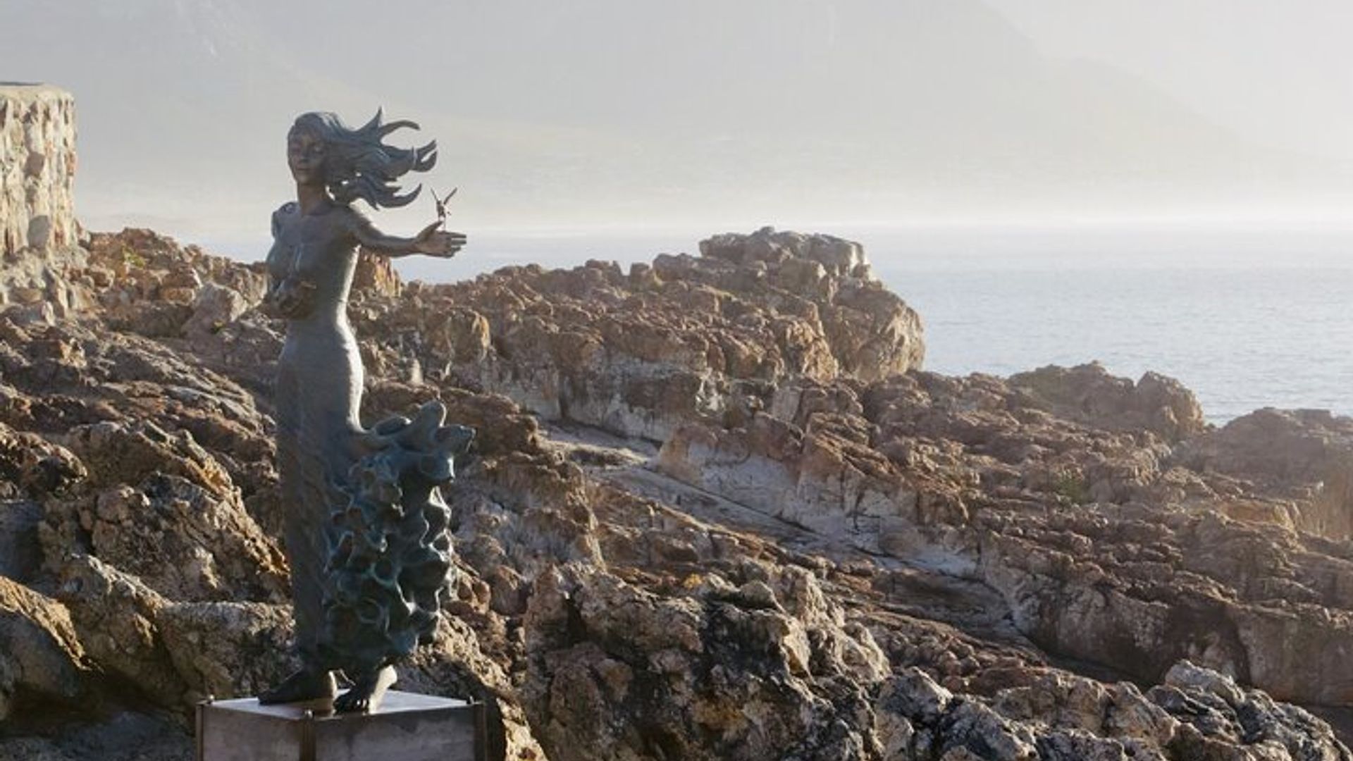 Tour de historia a pie Hermanus Cliff - un paseo en el tiempo