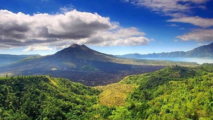Private Tour - Ubud Kintamani Tours
