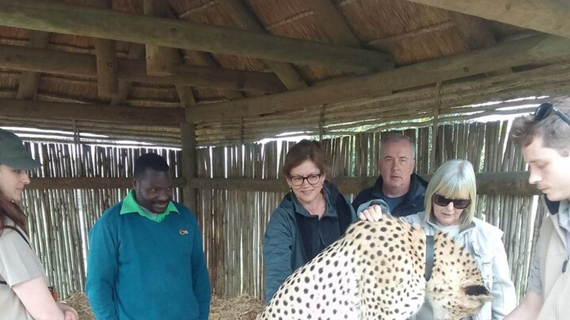 Cheetah Outreach, Gordon’s Bay, and Strand Beach Tour