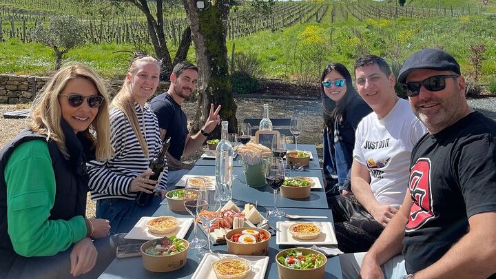 Bordeaux: Small-Group Guided Winery Tour With Lunch, Tastings
