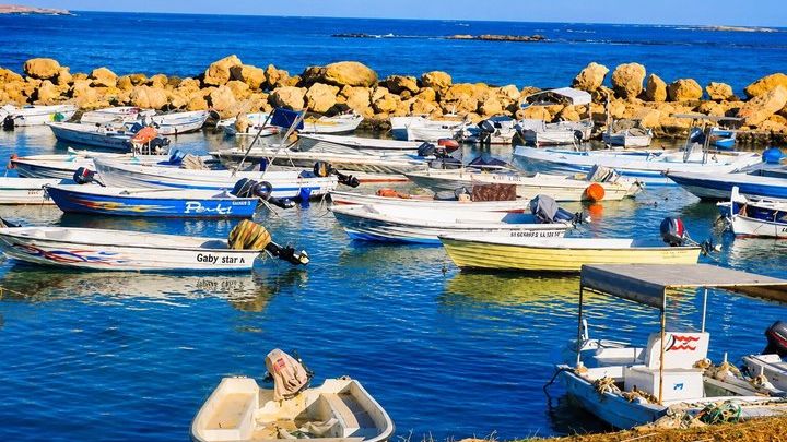 Tripoli and Batroun Guided Small-Group Trip with Lunch
