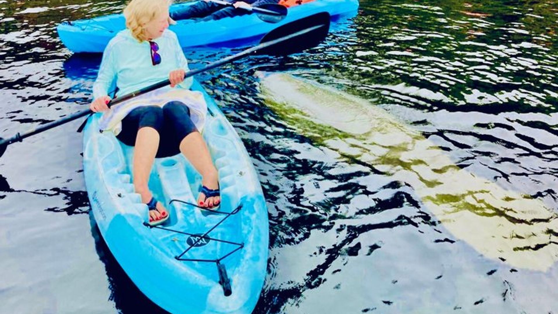 St. Augustine Paddle Board or Kayak Tour with Wildlife Viewing