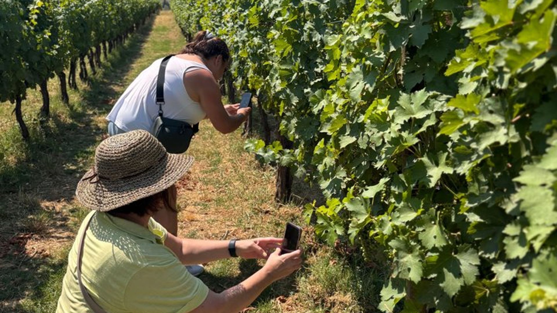 Florence to Tuscan Countryside Small-Group Wine Tasting Tour