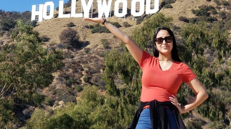 Hollywood Small-Group Day Tour From Las Vegas