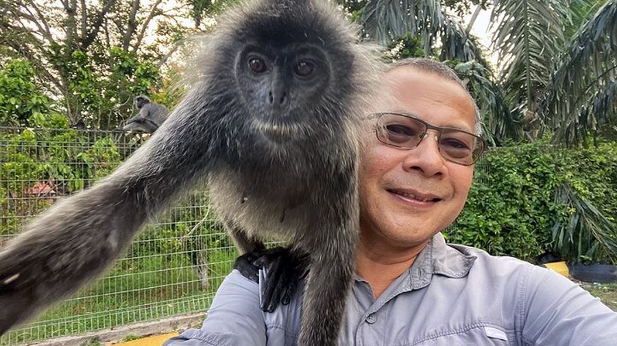 Batu Caves and Watching Fireflies in Kuala Selangor