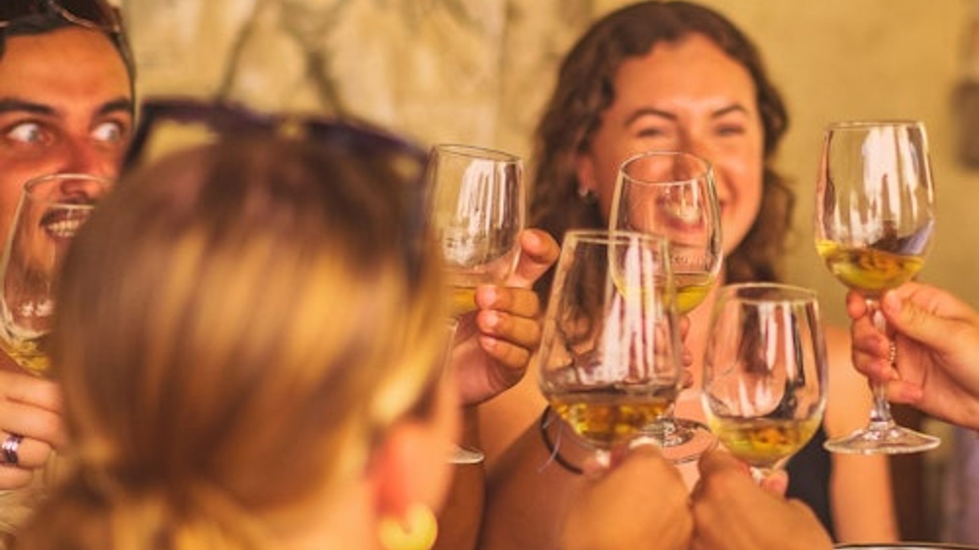Florence: Guided Wine & Food Tour