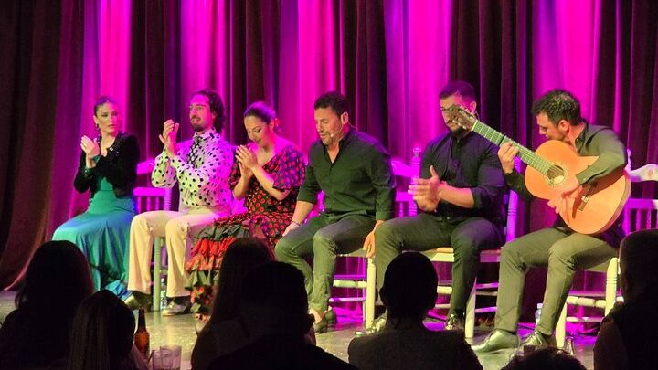 Vibrant Flamenco Show and Tapas Menu in Alicante