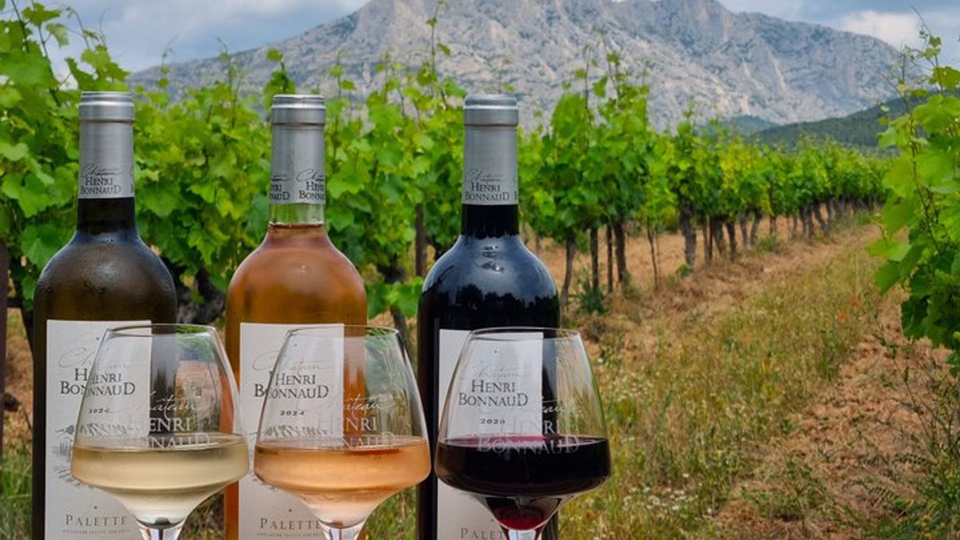 Englisch - Provence Weintour in der Nähe von Aix-en-Provence