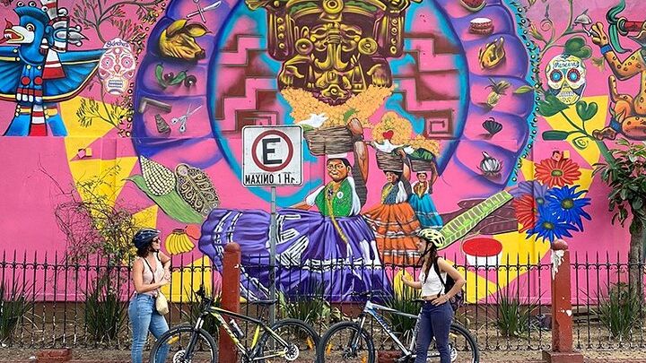 Small-Group Half-Day Bicycle Tour to Street Art Spots, Oaxaca