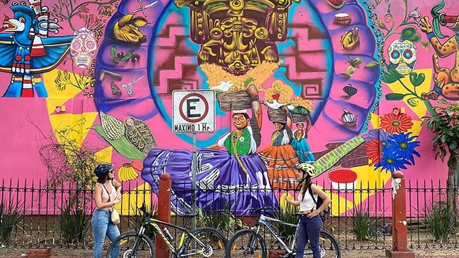 Small-Group Half-Day Bicycle Tour to Street Art Spots, Oaxaca