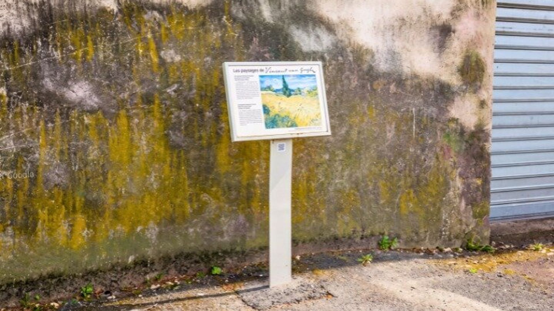 Tour a pie por Saint-Rémy-de-Provence Van Gogh