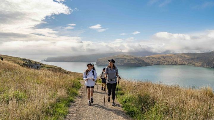 Half-Day Godley Head Coastal Hike from Christchurch