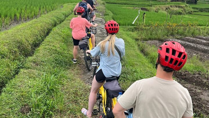 Ubud Small-Group E-Bike Tour to Tegalalang Rice Terrace