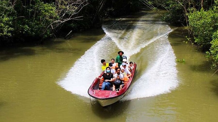 Can Gio Beautiful Nature Mangrove Forest Day Trip