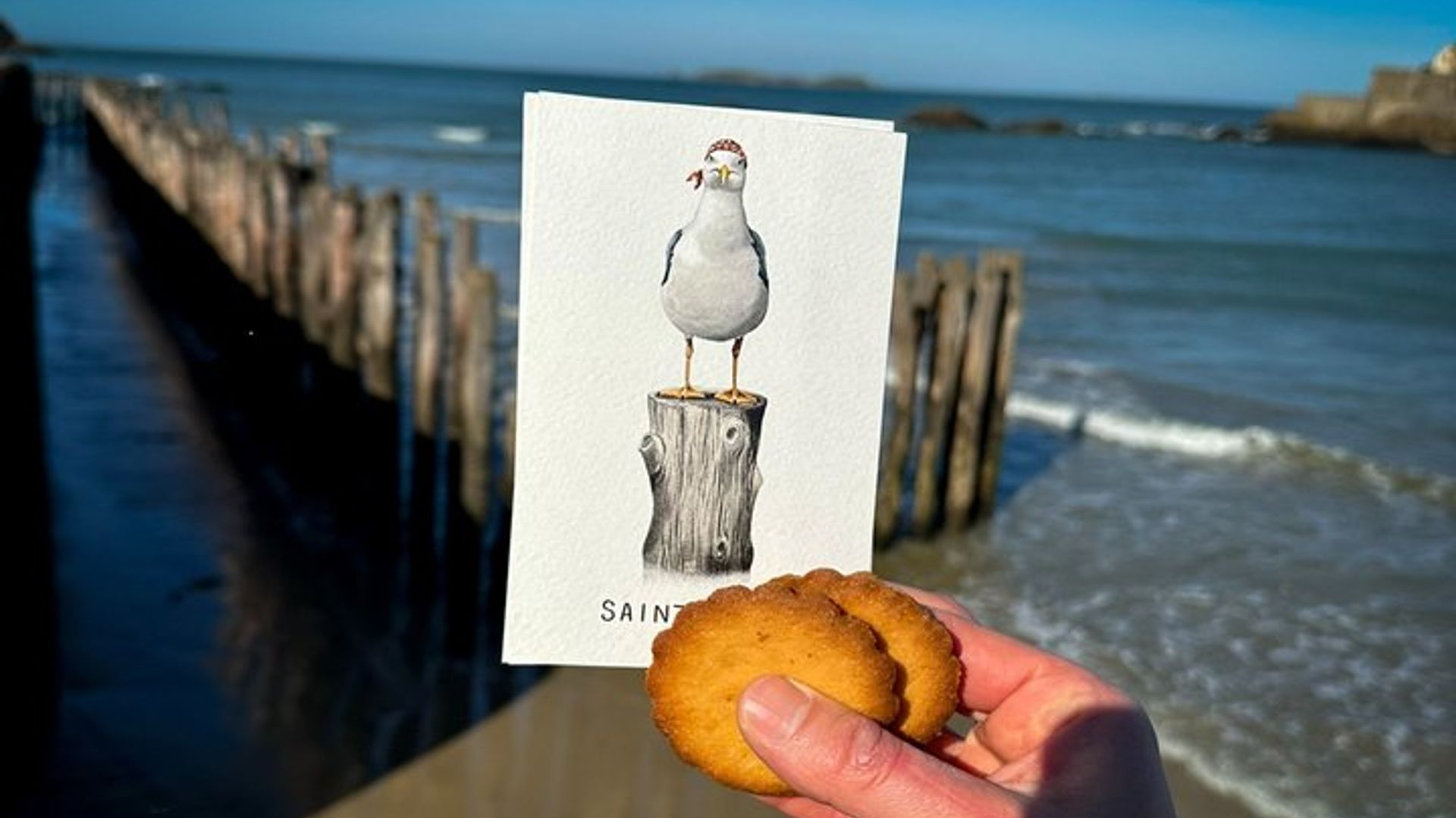 Descubra la ciudad amurallada en 2 horas Tour a pie por Saint-Malo