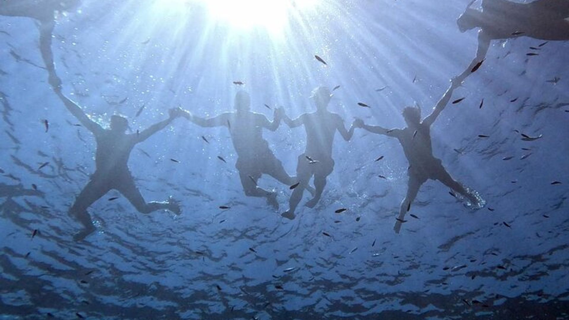 Tour en barco de aventura por la isla de Elba para grupos pequeños y cena al atardecer
