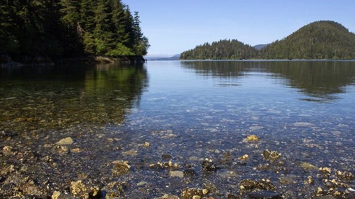 Sitka Small-Group Adventure Hike: Wildlife Tour With Snacks