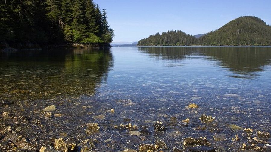 Sitka Small-Group Adventure Hike: Wildlife Tour With Snacks