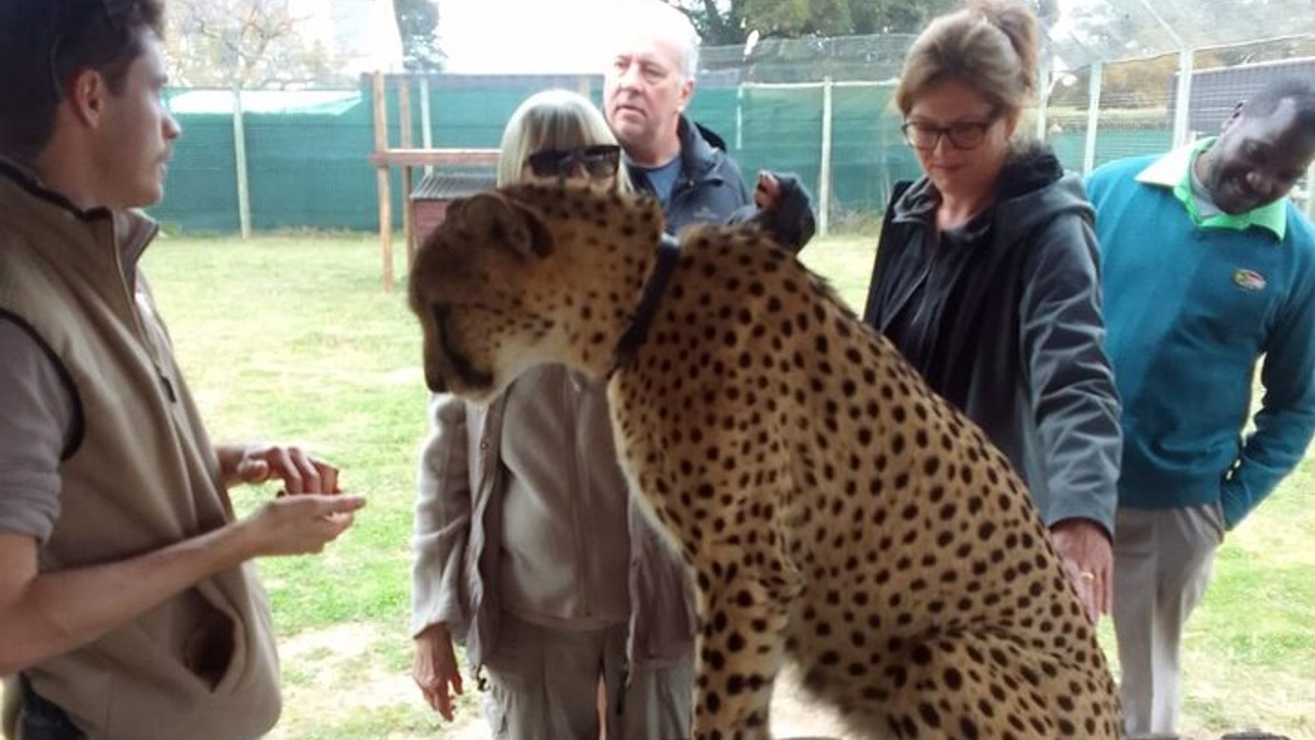 Cheetah Outreach, Gordon’s Bay, and Strand Beach Tour