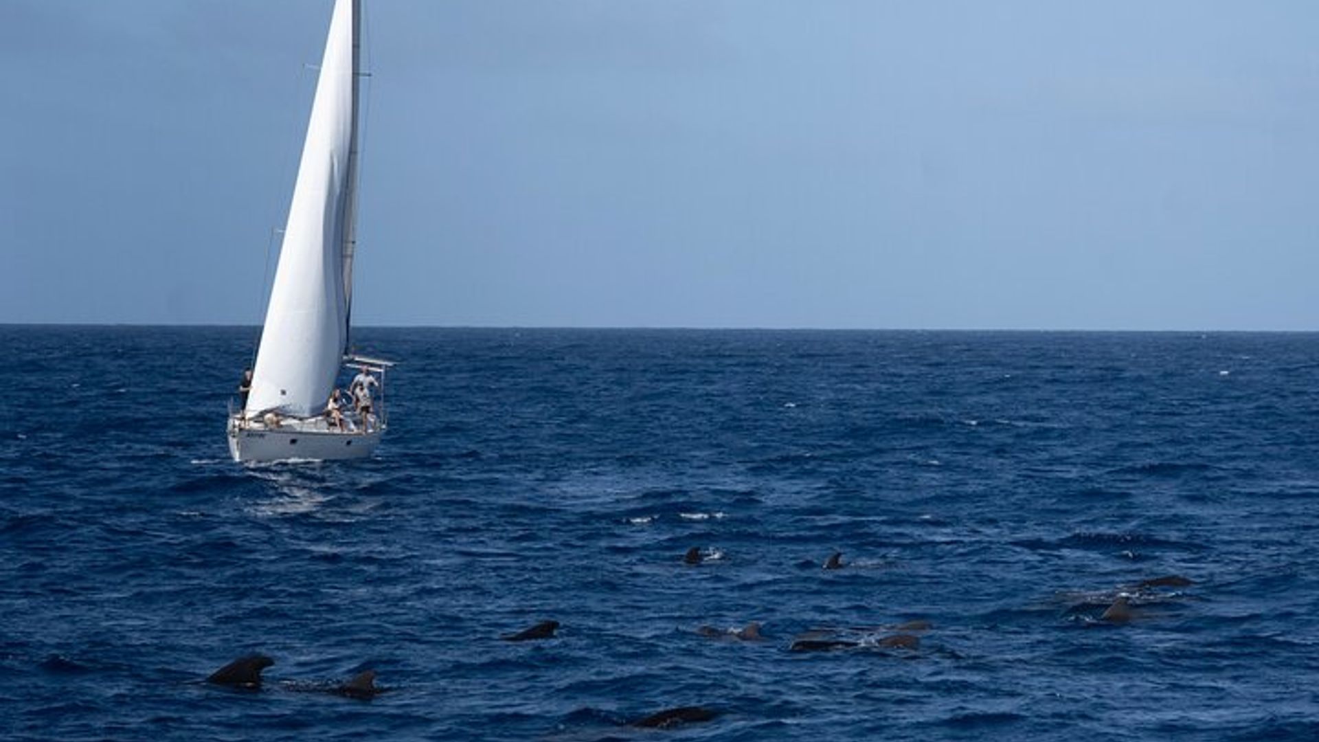 Expérience de navigation d'une journée à Santa Maria