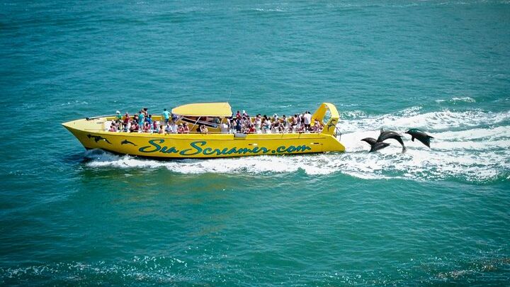 Florida Clearwater Speed Boat Dolphin Watching Tour
