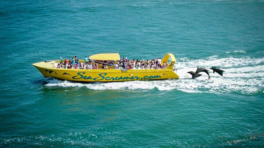 Florida Clearwater Speed Boat Dolphin Watching Tour