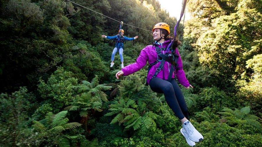 Rotorua Forest Canopy Half-Day Ziplining Activity with Shuttle