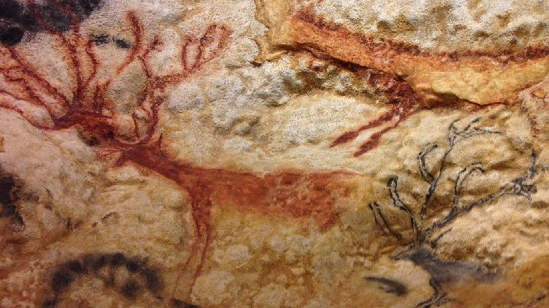 Excursion privée d'une journée aux grottes de Lascaux et à la vallée de la Dordogne