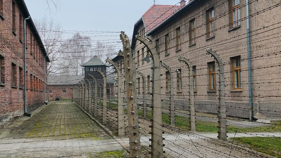 Private Day Tour from Warsaw to Auschwitz-Birkenau