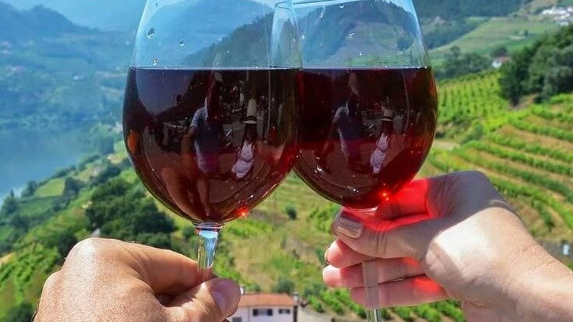 Visite privée de l'Alentejo avec dégustation de vin au départ de Lisbonne