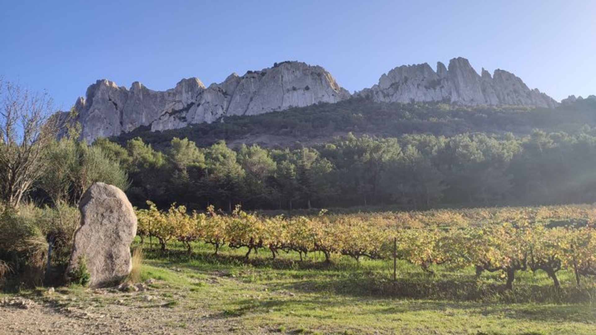 Drôme Côtes du Rhône Grignan Journée Géologie Terroir Vin