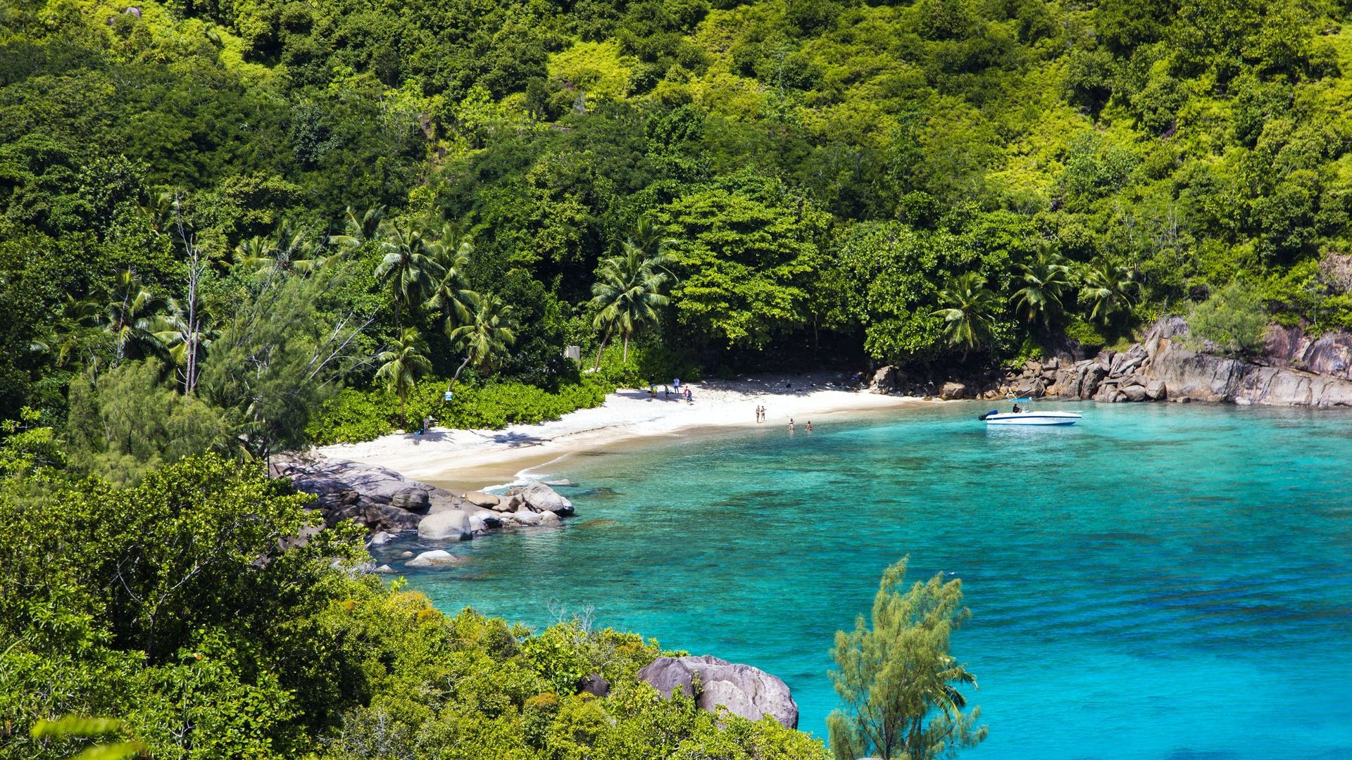 Private Nature Trail Anse Major from Mahé