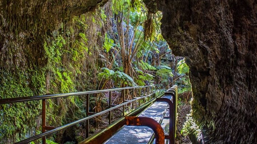Big Island of Hawaii: Private Tour with Pickup