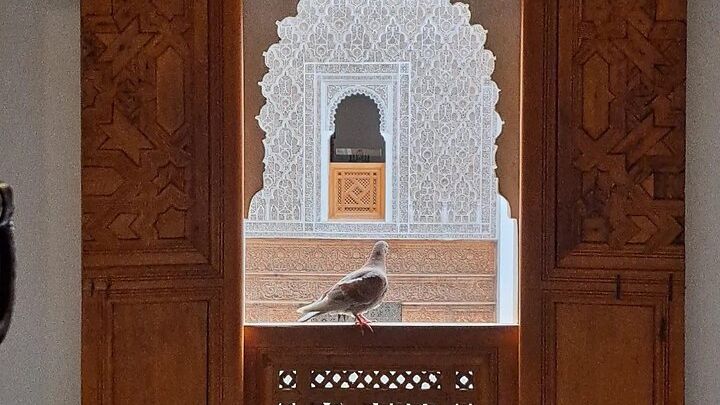 Marrakech: History and Culture-Focused Half-Day Walking Tour