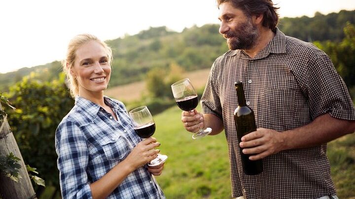 Niagara-on-the-Lake: Full-Day Small-Group Wine Tasting Tour