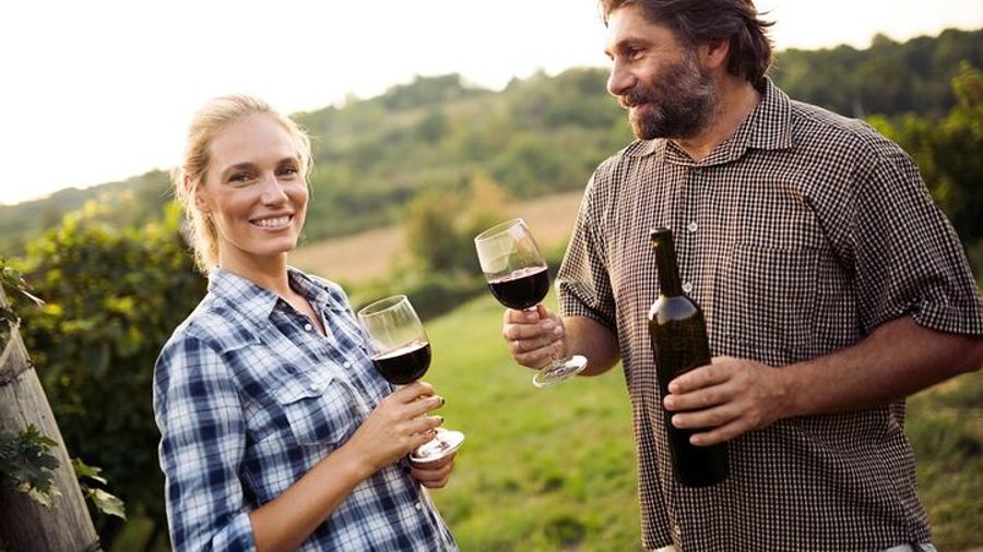 Niagara-on-the-Lake: Full-Day Small-Group Wine Tasting Tour