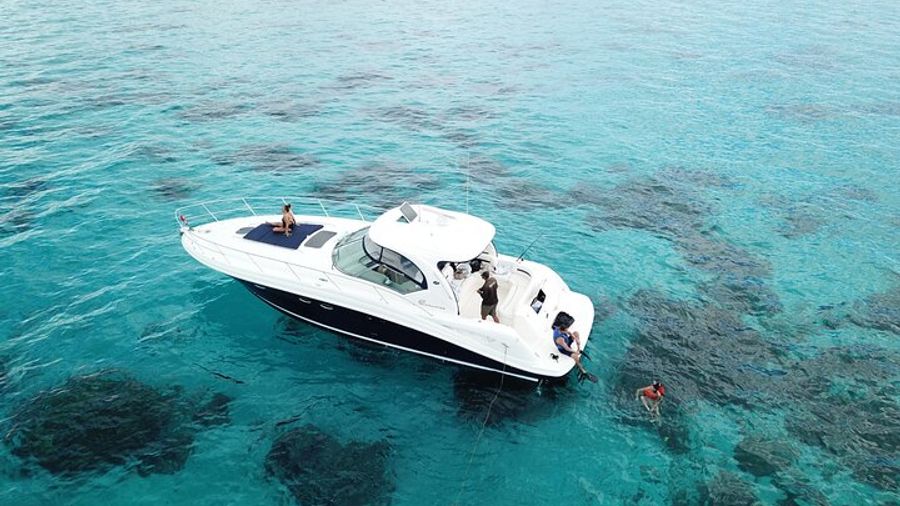 Private Boat Tour with Snorkeling, Stingrays, and Starfish