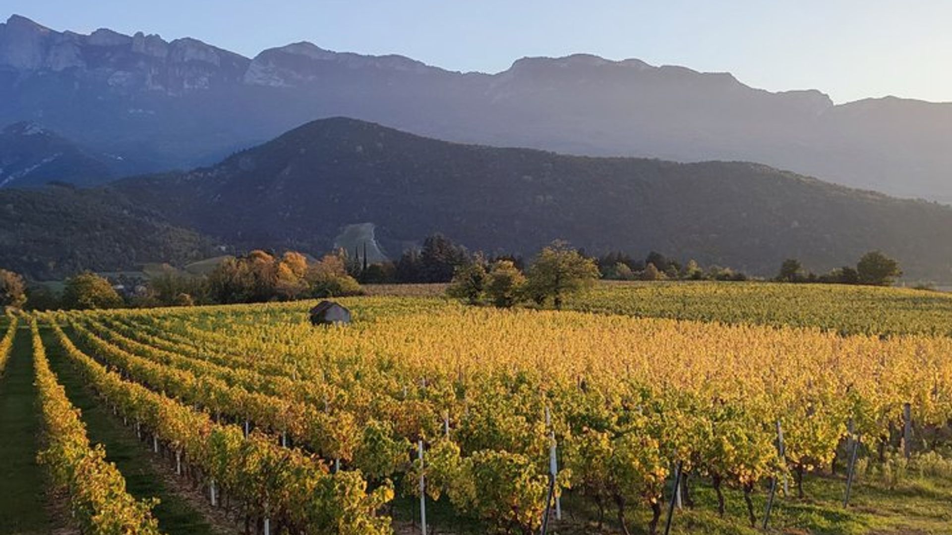 Drôme Côtes du Rhône Grignan Journée Géologie Terroir Vin