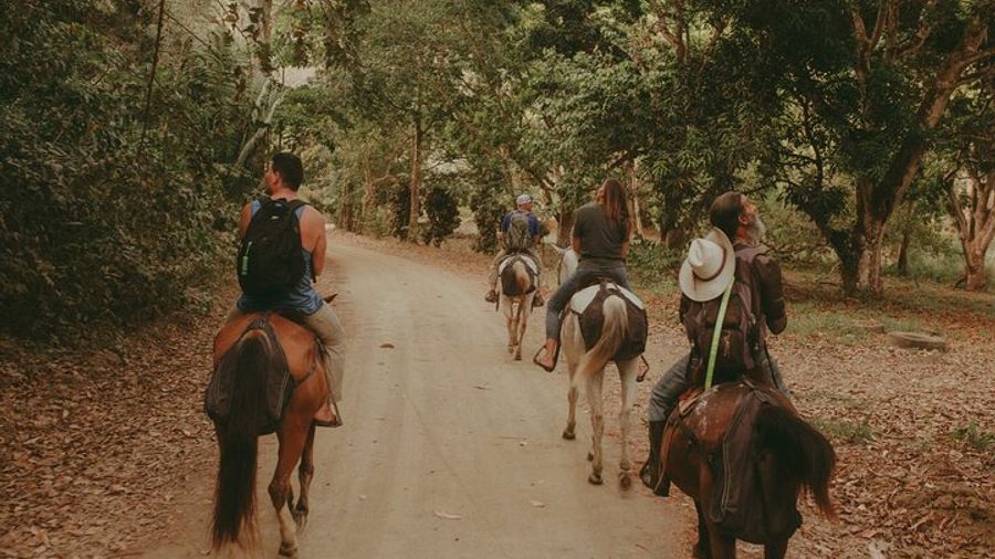 Jaco Horseback Riding Adventure Tours