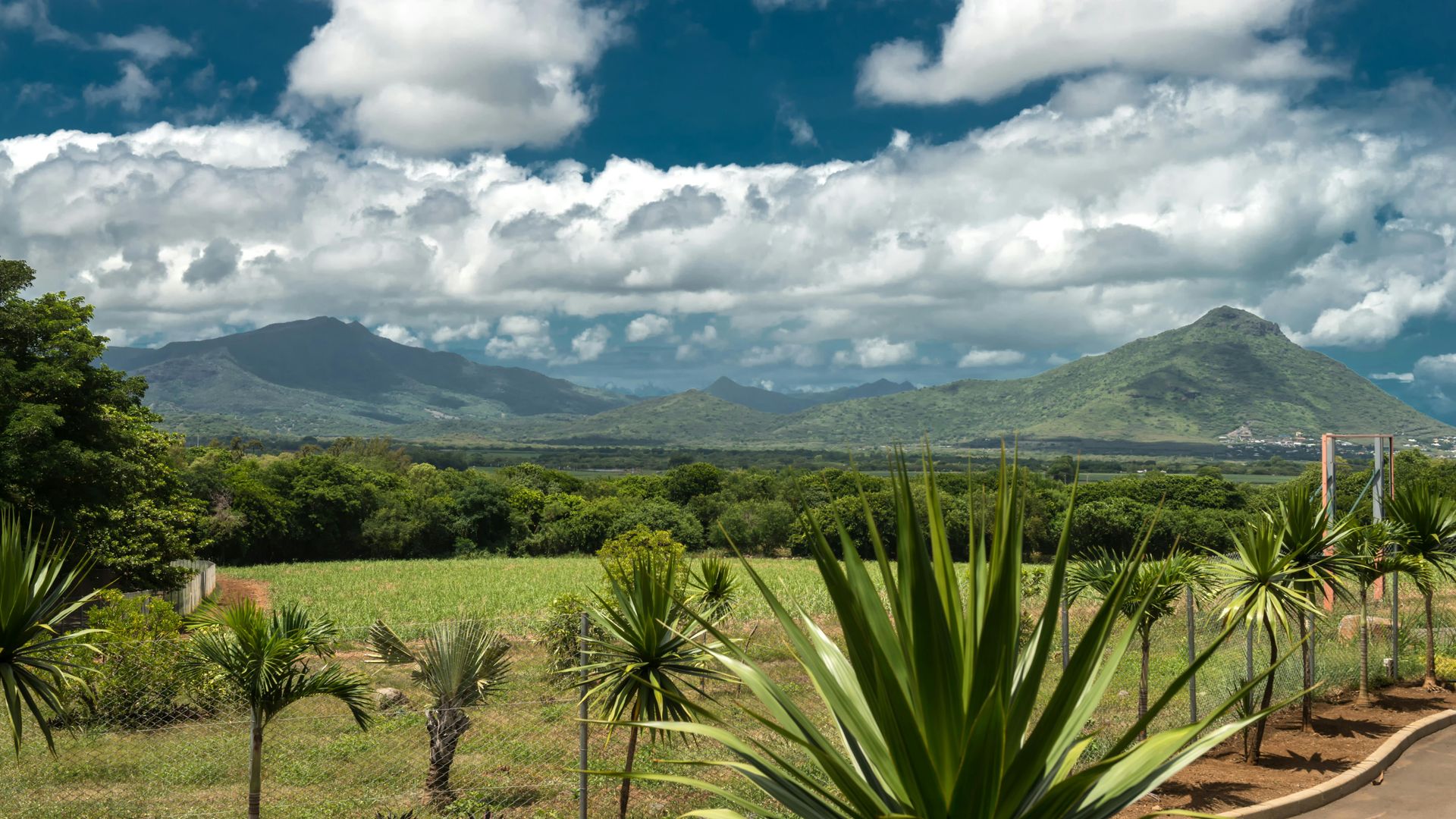 Billets d'entrée aux parcs naturels de Casela avec transfert