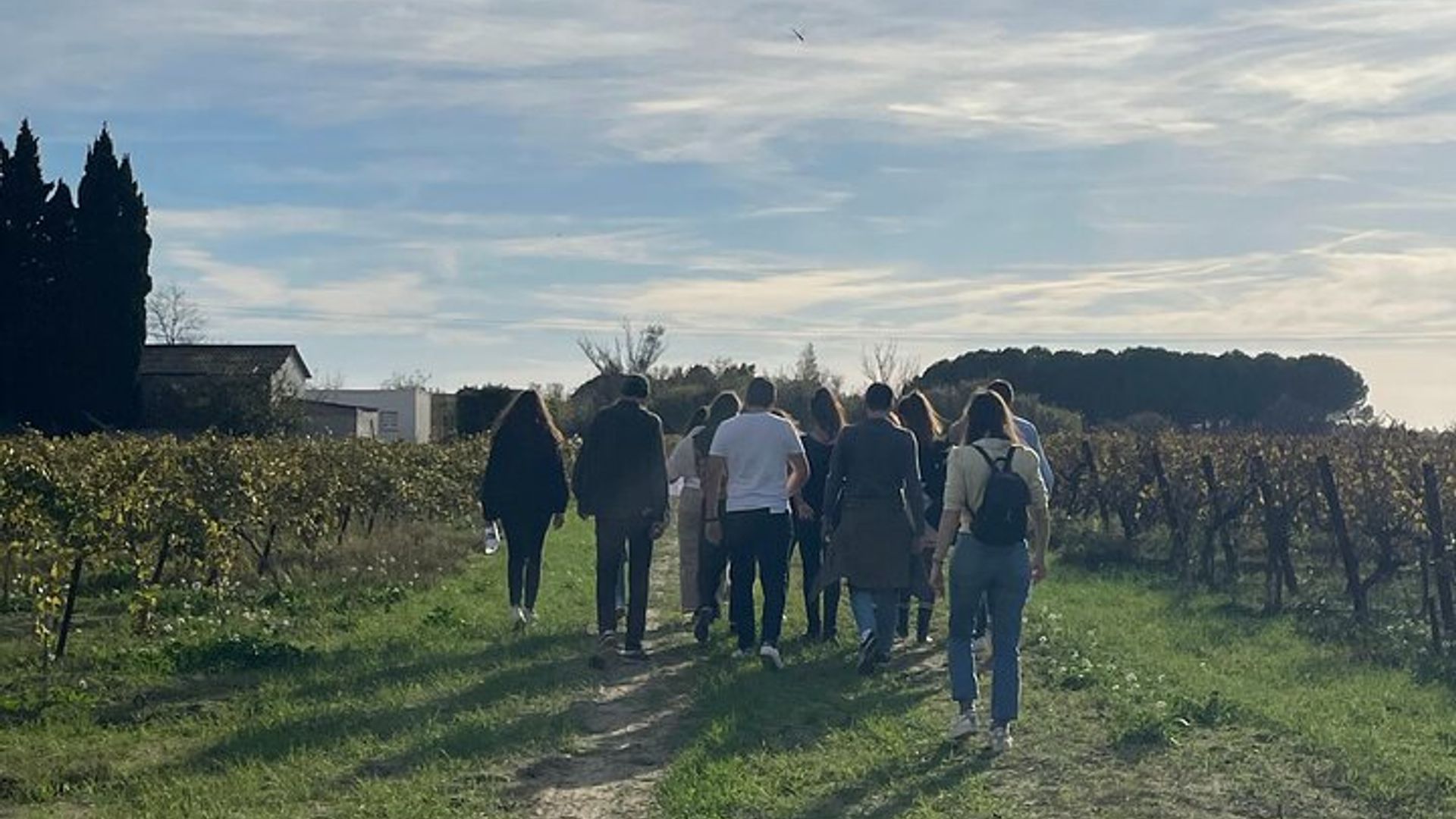 Camargue Day Trip Flamingos Wine and Dead Aquarius