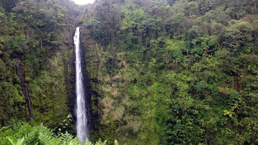 Big Island Volcano Adventure from Kona: Small Group