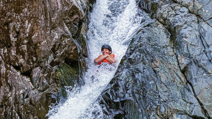 El Yunque Rainforest Small-Group Half-Day Tour With Pickup