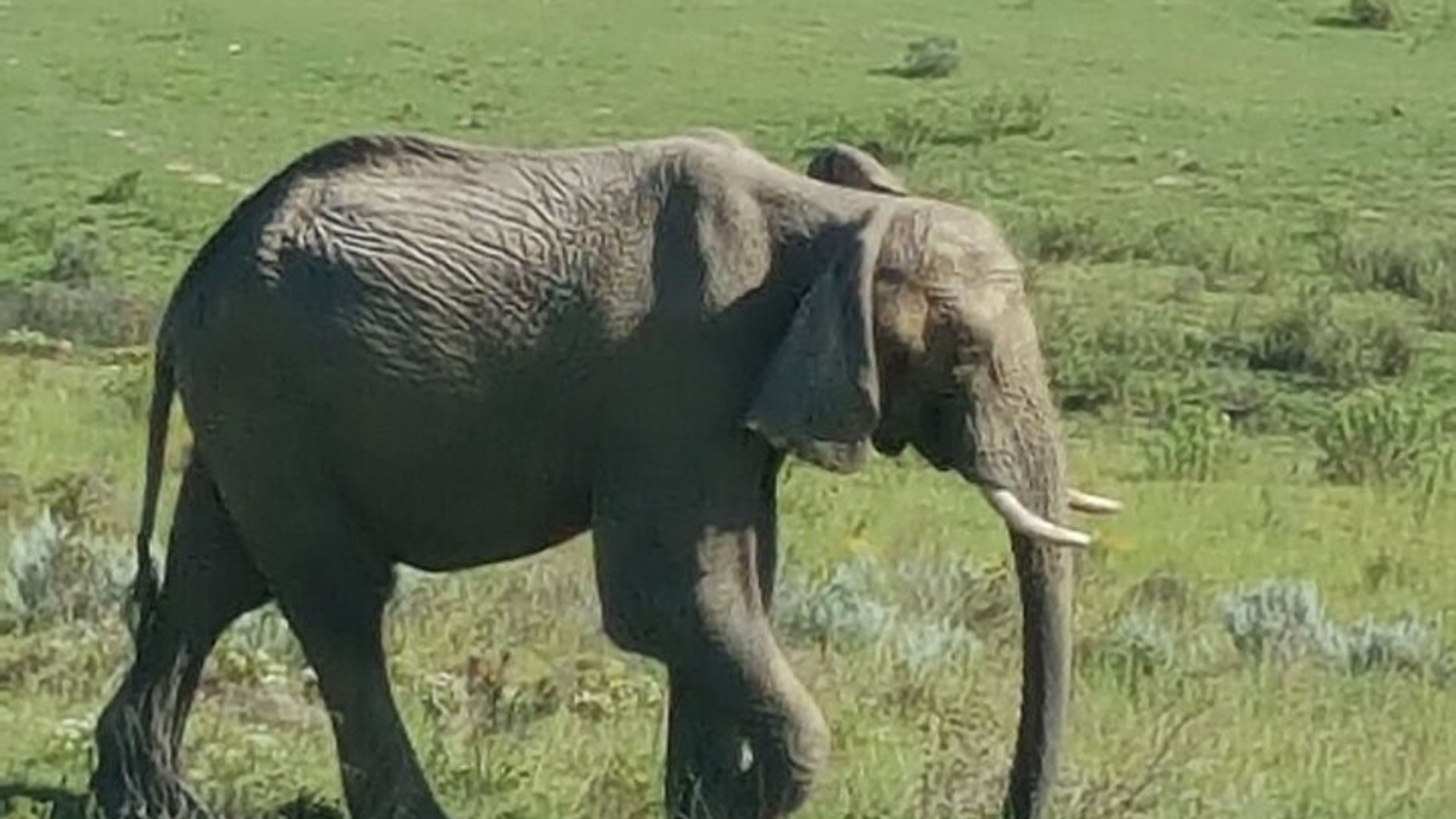 Garden Route Experience