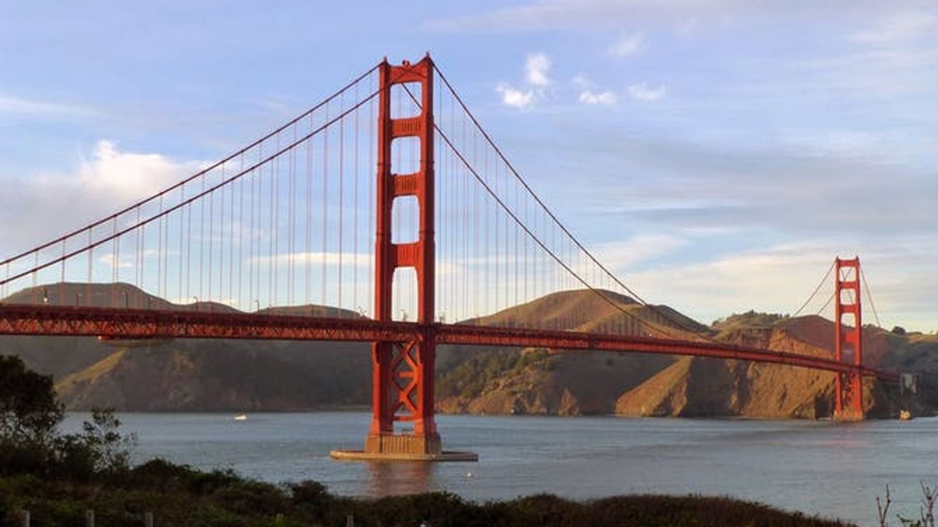 San Francisco Hop-On Hop-Off and Muir Woods Tour image 3