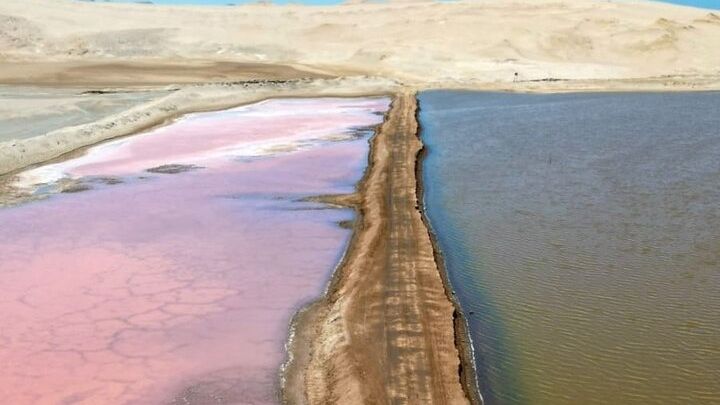 Paracas NationaL Reserve Journey - Scenic Stops at Your own pace