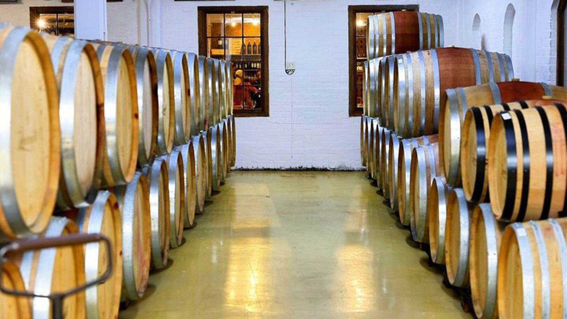 Excursión de medio día a Stellenbosch Winelands desde Ciudad del Cabo