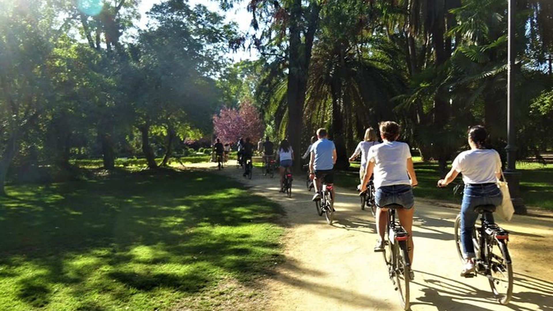 Seville City Highlights History Small-Group Guided E-Bike Tour